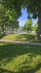 Sunny evening park scene documented in Laval, Canada