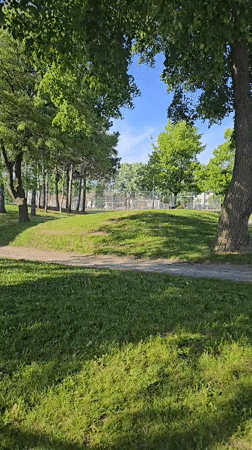 Sunny evening park scene documented in Laval, Canada