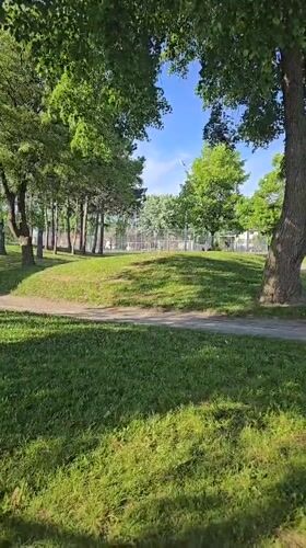 Sunny evening park scene documented in Laval, Canada