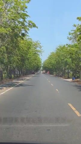 The video shows a forward-facing view from a vehicle traveling on a paved road lined with lush green trees on both sides. The road has a white dashed line marking the lane division and solid yellow lines on the edge. Several vehicles are visible on the road, including a red car on the left shoulder and a yellow truck in the distance on the right lane. The sky is clear and blue, suggesting a sunny day. The lighting indicates it is daytime. The overall environment appears to be rural or suburban, with vegetation and a clear sky. The video is a short, continuous shot without any visible editing cuts.