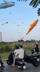 Kite flying gathering observed in Thủ Đức, Vietnam