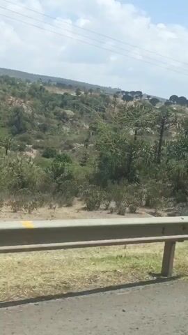 The video shows a landscape view from a moving vehicle, likely a car or bus. The road runs alongside a guardrail, with grassy terrain visible on the roadside. Beyond the guardrail, the landscape features a mix of trees and scrub vegetation. The terrain appears to be somewhat dry, with patches of sand or light-colored soil visible among the greenery. In the distance, the landscape slopes slightly upwards, with a horizon line visible. Power lines stretch across the sky. The sky is partially cloudy.