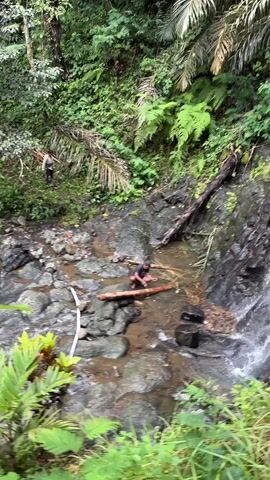 Two individuals are shown in a natural, overgrown environment with a small waterfall and rocky stream. One individual, positioned in the middle ground, is kneeling by a large log in the stream, seemingly interacting with it. Another individual is further up the bank, also appearing to be engaged in some activity. The surrounding area is dense with foliage, including palm fronds and ferns, and there are several buckets or containers visible in the stream.