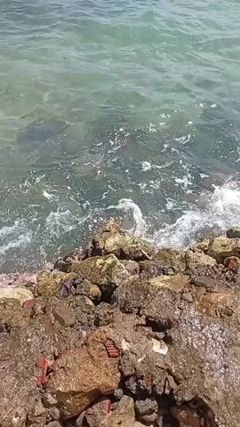 The video shows a view of a rocky shoreline transitioning to a scene of a calm, aquamarine sea dotted with several small, white boats. The boats are each equipped with a canopy and appear to be bobbing gently on the water. The sky is overcast with patches of white clouds. The camera pans slightly to reveal more boats in the distance.  The video concludes with a static view of the boats.