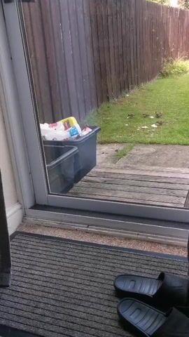 The video shows a view through a glass door into a backyard. A black bin with some white items inside is visible on a wooden deck. Beyond the deck is a patch of grass with several small birds pecking at something on the ground. A wooden fence borders the backyard. In the foreground, on a doormat, are a pair of black slides.