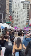 Spring flower market draws crowds in New York City