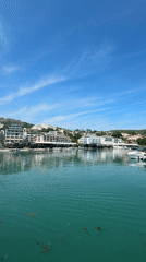 Tourist documents sunny marina views in Balchik, Bulgaria