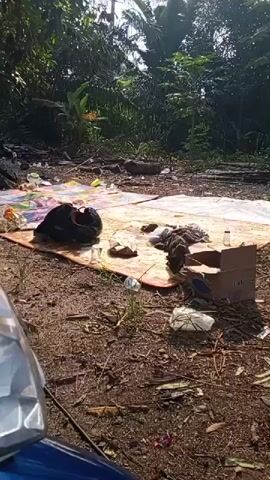 A motorcycle is partially visible in the lower left corner of the frame. A blanket is spread out on the ground, covered with various objects including a black helmet, a box, plastic bottles, and what appears to be food. Two individuals are present, one lying on the blanket with their head resting on their arm, and another sitting up and looking down at the blanket. The environment is outdoors, with dense vegetation in the background and sunlight illuminating the scene. There is also debris scattered on the ground around the blanket.