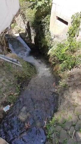The video shows a person speaking in Indonesian, warning someone not to push, as they might fall. The scene is outdoors, with a narrow waterway flowing through it. The waterway appears to be lined with stones and has some vegetation growing along its banks. There are concrete structures on either side of the waterway, suggesting it might be part of a drainage system or a man-made channel. The water is flowing relatively fast, creating some turbulence and white foam in certain areas. The overall environment seems somewhat overgrown and possibly unmaintained.