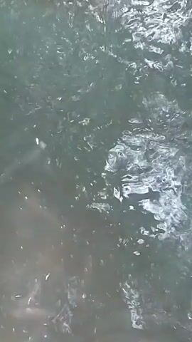 This is a video of ripples on the surface of water. The water appears to be dark green or grey in color. Light reflects off the ripples, creating a dynamic pattern of bright and dark areas. The camera angle is looking down at the water from slightly above. There are no discernible people, objects, or text visible in the frame. The scene is abstract, focusing solely on the movement and texture of the water. It is not possible to determine the time of day, weather, or specific location within Ubomiri from this footage, although the presence of water suggests an outdoor setting. The overall mood is calm and contemplative, due to the gentle movement of the water.