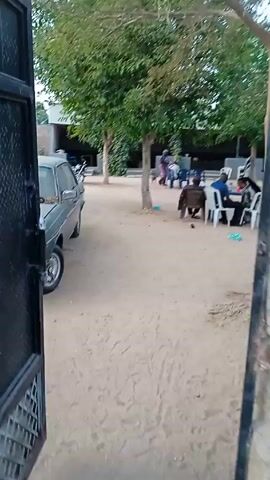 The video, taken from behind a gate, shows an outdoor area with a sandy ground and several trees. People are sitting at tables and chairs, some appearing to be eating. There are cars parked in the area as well.  The view is slightly obstructed by the gate and a stone structure.
