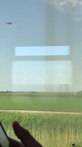 From the perspective of someone seated inside a train, the video shows a passing landscape. The view is through a window with a partially obscured rectangular area in the middle, likely from a sticker or covering on the glass. Initially, the landscape features green fields and a row of wind turbines in the distance. As the train moves, the view shifts to include tall, thin trees alongside the fields, and the fields transition to a more yellow, possibly drier, appearance. A person's hand holding a smartphone is visible in the lower left corner throughout the video. The sky is light blue with some clouds.