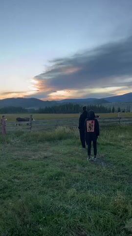 Two people, one wearing a black hoodie and the other wearing black pants and a black hoodie with a graphic on the back, stand in a grassy field facing away from the camera. They are looking towards a wooden fence in the middle ground. Beyond the fence, there are several cows grazing in a pasture. In the background, there is a forest of pine trees, rolling hills, and a cloudy sky with the sun setting behind the mountains, casting a warm glow. Another person in a light-colored outfit stands further to the left, near the fence. The video captures a peaceful, rural landscape at dusk.