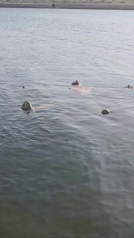 The video shows a person floating on their back in a body of water, possibly a lake. The person's face, torso, hands, and feet are visible above the water's surface. The water is calm with some minor ripples, and the background shows a shore or embankment with some land visible further in the distance. The sky is overcast. The video appears to have been taken from a slightly elevated position.