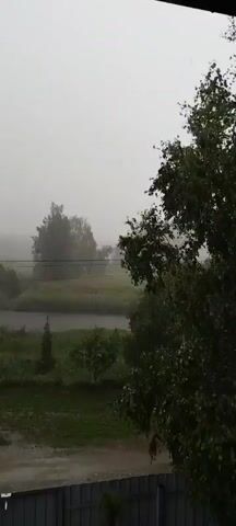 A short video clip shows a hazy, overcast sky with a light rain falling. In the foreground, the leaves of a leafy green tree are visible, with raindrops streaking down. In the background, a body of water, possibly a river or lake, is seen, bordered by green grass and trees. The overall atmosphere is serene and natural, suggesting a peaceful, rural setting experiencing a gentle rain shower.