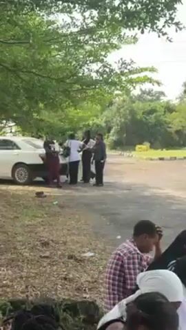 The video shows two groups of people in a wooded area next to a dirt road. In the first shot, four women are standing next to a white car. The women are wearing different styles of clothing, including dresses, pants, and blouses. In the second shot, a group of about seven people are standing and talking in a shady area. These people also wear different clothing styles. The area around the groups of people is grassy and littered with trash. The wooded area is partially obscured by a canopy of green leaves.