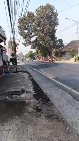 The video shows a street scene with several motorcycles on the road. In the foreground, there is a damaged concrete sidewalk with some puddles of water. Power lines are visible overhead, as well as a large tree on the side of the road. Several houses are visible in the background. The motorcycles are moving in the same direction. One motorcycle in the foreground is red, and the rider is wearing a white helmet. Another motorcycle further down the road is also red, and its rider is wearing a blue helmet. A third motorcycle, farther still, is a light color, and its rider is wearing a light-colored helmet. A person wearing a white shirt and dark pants is standing on the side of the road in the background. The sky is clear and blue.