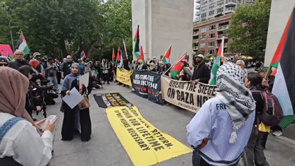 Palestinian solidarity demonstration held in New York park