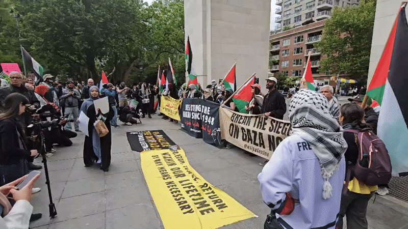 Palestinian solidarity demonstration held in New York park