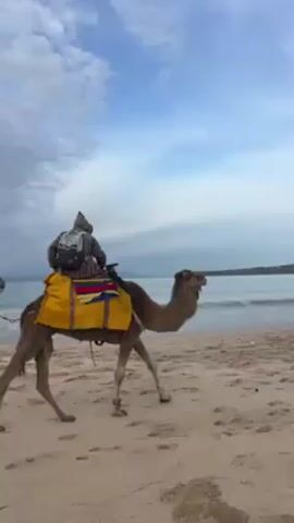 On a beach with light brown sand and the ocean visible in the background, a person wearing a hooded jacket and a backpack is sitting on top of a light brown camel.  The camel has a bright yellow blanket with blue and red designs draped on its back. A second camel, wearing a pink decorative blanket, is visible in the background, tethered to the first camel by a rope. The sky is blue with scattered gray clouds. The camels are walking near the edge of the water.