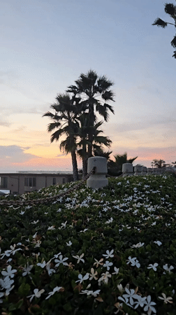 Sunset beach scenes captured in Oceanside with pier and beachgoers