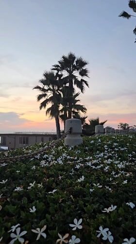 Sunset beach scenes captured in Oceanside with pier and beachgoers
