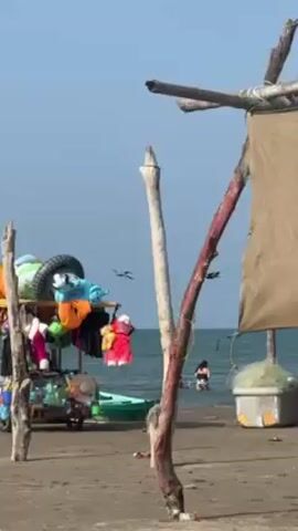 The video shows a beach scene with various elements. There is a makeshift shelter made of wooden poles and a cloth covering. In the background, people are in the water. A wheeled cart loaded with items like tires, inflatable toys, and clothing is visible. Two people walk across the frame, one shirtless and wearing a cap, the other in a swimsuit. A small white boat is partially in the water, with a ladder attached. A dog also walks into the frame, moving across the sandy beach. The weather appears sunny and the ocean is calm.