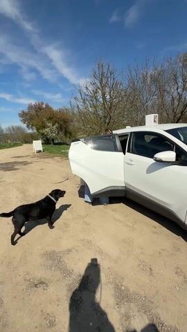 The video shows a dirt road with several cars parked.  The first shot shows a person standing near a white car with the door open and a black dog standing nearby.  The camera pans to show another white car further down the road, followed by a dark station wagon and a red convertible parked near a hill. The camera then pans again to show the white car from the first shot and a white Peugeot parked near a small house. The environment suggests a rural setting with trees and vegetation visible in the background. The weather appears sunny and clear.