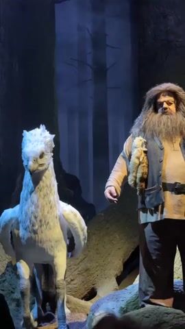 The video shows a static, medium shot of a Hagrid animatronic figure standing next to a Buckbeak animatronic in what appears to be a Harry Potter-themed exhibition or set. Hagrid is dressed in his signature brown tunic, vest, and pants, and he holds a small, furry creature in his hand. Buckbeak, the Hippogriff, is predominantly white with feathery details, and stands proudly with its wings slightly spread. The background resembles a dark, misty forest with tall, silhouetted trees. The scene is staged on a slightly raised platform, with faux tree trunks and rocks enhancing the woodland aesthetic. The lighting is dim, which amplifies the mysterious and fantastical atmosphere of the Harry Potter universe.