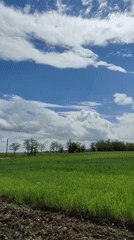 Rural Ukrainian landscape documented on sunny morning
