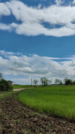 Rural Ukrainian landscape documented on sunny morning