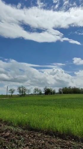 Rural Ukrainian landscape documented on sunny morning