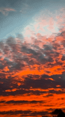 Sunset skies and tortoises on an evening in Tinaquillo