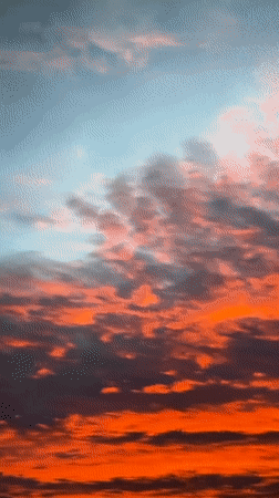 Sunset skies and tortoises on an evening in Tinaquillo