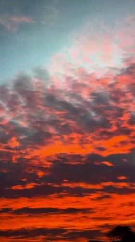 Sunset skies and tortoises on an evening in Tinaquillo