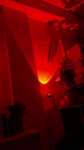 The camera focuses on a corner of a room bathed in red light. The source of the light is a small, modern-looking lamp, casting a semi-circular glow onto the wall. The wall's surface is textured. Shadows of plants and other objects are visible on the wall. The scene is dimly lit, emphasizing the strong red hue. A small, decorative cat figurine sits on a shelf near the lamp. A plant in a pot is seen next to the figurine. A shadowed ceiling fan is visible at the top of the image.