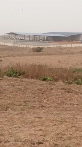 The video shows a wide shot of a dry, barren field in the foreground with a large industrial building in the background. The field is covered in dry grass and soil, with a few small green bushes scattered around. In the background, there's a large, low-lying building, possibly a warehouse or factory, with a blue roof and open sides. A fence surrounds the building. The sky is overcast, making the lighting dull. The video suggests a rural or industrial area. A voice mentions a Chinese company.