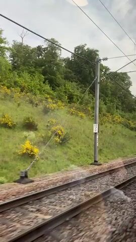 The video shows a view from a moving train, looking out over the railway tracks and a grassy hill. The tracks are made of brown and gray ballast with metal rails. The hill is covered in green grass and dotted with yellow wildflowers, rising up to a line of green trees at the top. The sky is overcast. Electrical wires and poles run parallel to the tracks. The camera is stable but moves along with the train. No people are visible in the video.