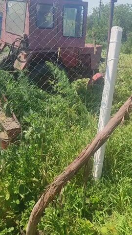 The video shows a red tractor in a grassy field. The tractor is attached to a mowing attachment, which is actively cutting the grass. A wire fence runs in front of the tractor. There is a thick, woody vine that hangs down in front of the fence and a portion of the tractor. The overall environment appears to be outdoors on a sunny day.
