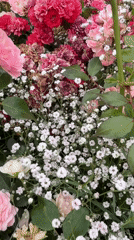 Summer flowers bloom outside Saint Isaac's Cathedral, St. Petersburg