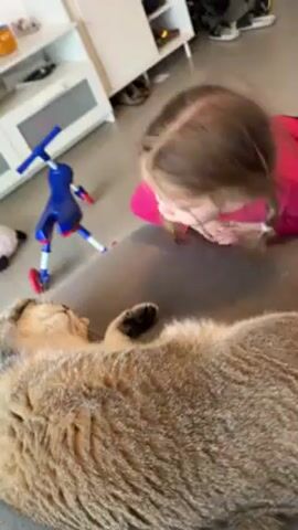 A young girl in a pink shirt leans over a gray couch, looking at a golden cat lying on its back. The cat is on its back with its paws up and eyes open. A blue toy with red feet stands on the floor behind the couch. The girl says something to the cat, then the camera focuses on the cat.