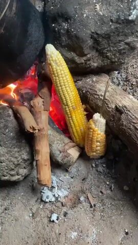 The video shows two ears of corn roasting over an open fire. The corn is yellow with some brown spots from the heat. The fire is made of wood and embers, and the flames are bright red and orange. The corn is placed on the ground next to the fire, surrounded by rocks and logs. The scene appears to be outdoors, possibly in a rural or rustic setting in Aiyegunle, Nigeria. The lighting suggests it could be daytime, but the focus is on the fire and the food. The overall impression is one of simple, traditional cooking. There is no visible text in the video.