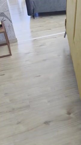The video pans across a well-lit showroom floor, likely a furniture store, showcasing several beds and mattresses. The flooring is a light-colored wood laminate. In the foreground, a yellow upholstered headboard of a bed is visible on the right. The camera then moves to focus on a gray upholstered bed frame with a mattress on it, a pillow resting on the mattress. Further back, other beds and mattresses are displayed, some with white mattresses and colored bases, suggesting a variety of options. A white tape line is visible on the floor, potentially indicating a boundary or path within the showroom. The background shows large windows with views of cars and buildings outside, reinforcing the commercial setting.