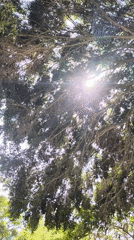 Afternoon park scenes with wildlife, trees, and motocross gear documented