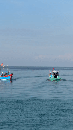 Fishing boats out on the water off Lý Sơn Island