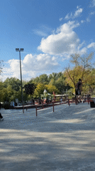 Sunny day at a Nizhny Novgorod skatepark