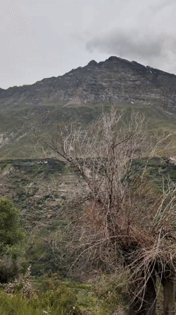 Keylong valley town life, blooming hillsides, and mountain vistas