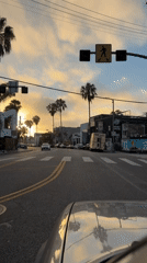 Sunset drive down a palm-lined street in Los Angeles