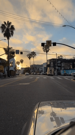 Sunset drive down a palm-lined street in Los Angeles