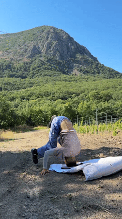 Morning stretch and rest stop in a Crimean vineyard